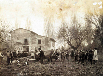 Parma 1861 - 1896: Prima dell'industria